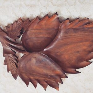 Dry Fruit Leaf(Sheesham)